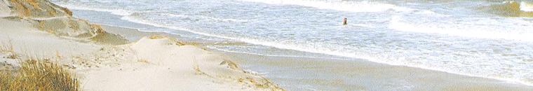 Dnen und Meer